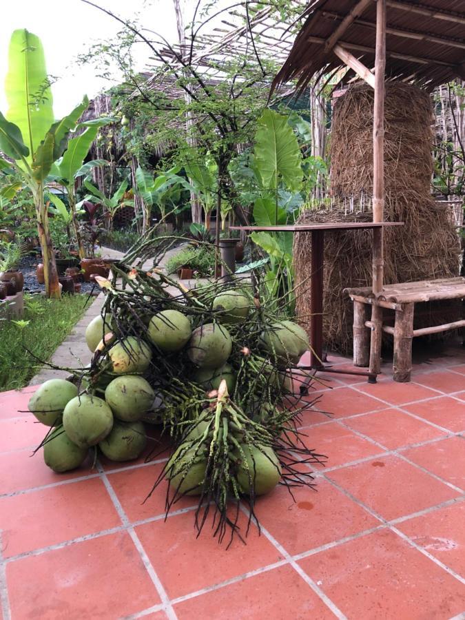 Bầu Bí Mini Mekong - Tiền Giang *